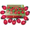 Ladybug Counting Stones