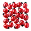 Ladybug Counting Stones