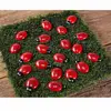Ladybug Counting Stones