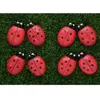 Ladybug Counting Stones