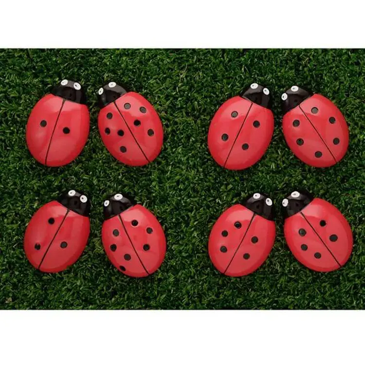 Ladybug Counting Stones