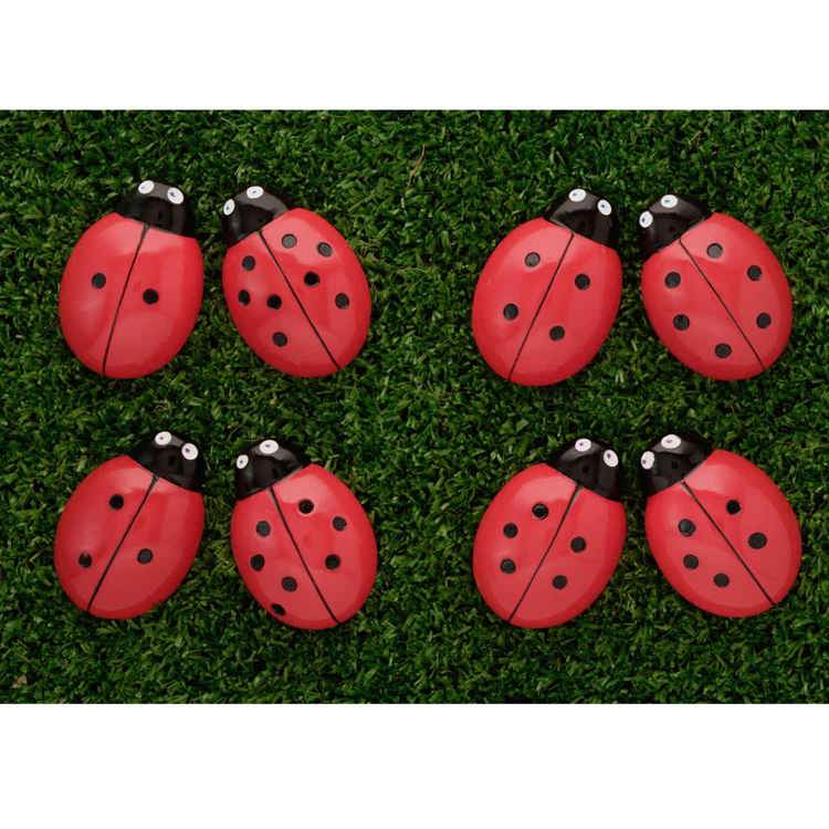 Ladybug Counting Stones