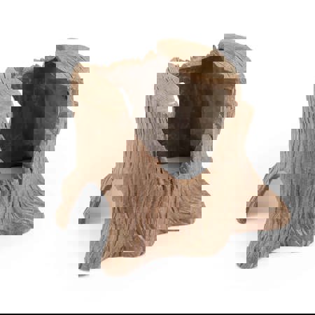 Tree Stump