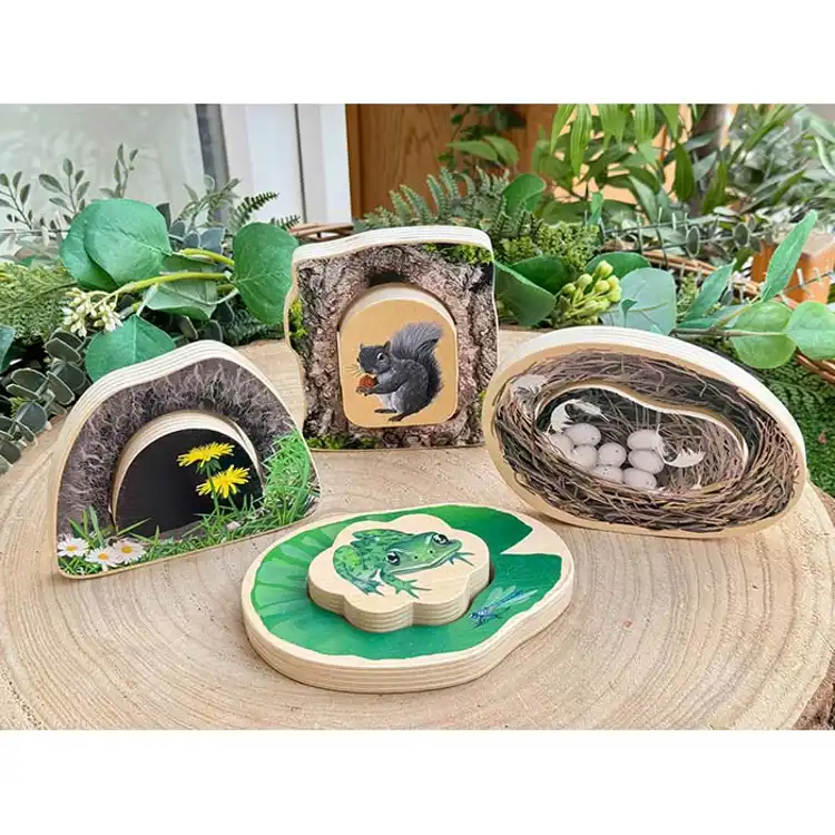 Who's Hiding? Woodland Animals