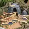 Wooden Dinosaurs