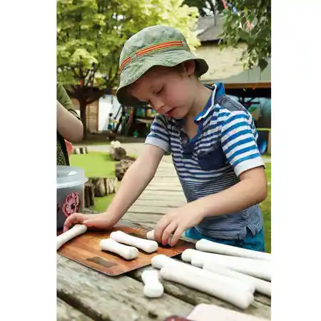 Dinosaur Bones Measuring Set