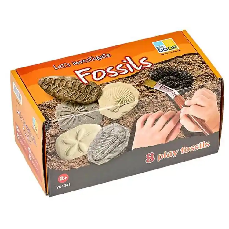 Fossil Stones