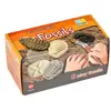 Fossil Stones