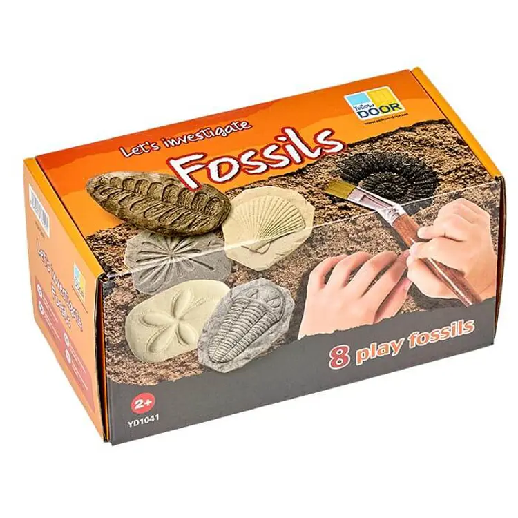 Fossil Stones