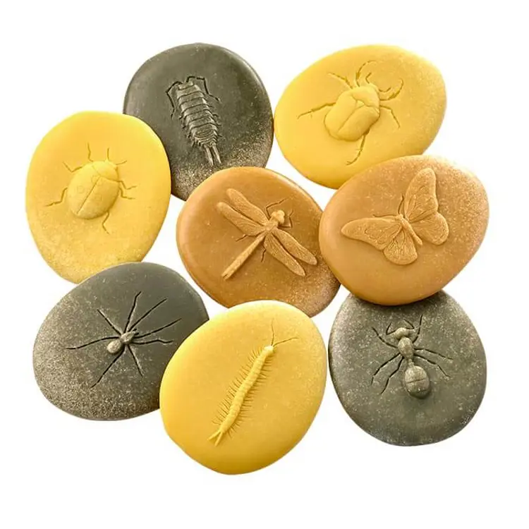 Bug Stones