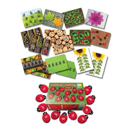 Ladybug Count Stones & Number Cards Set