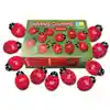 Ladybug Count Stones & Number Cards Set