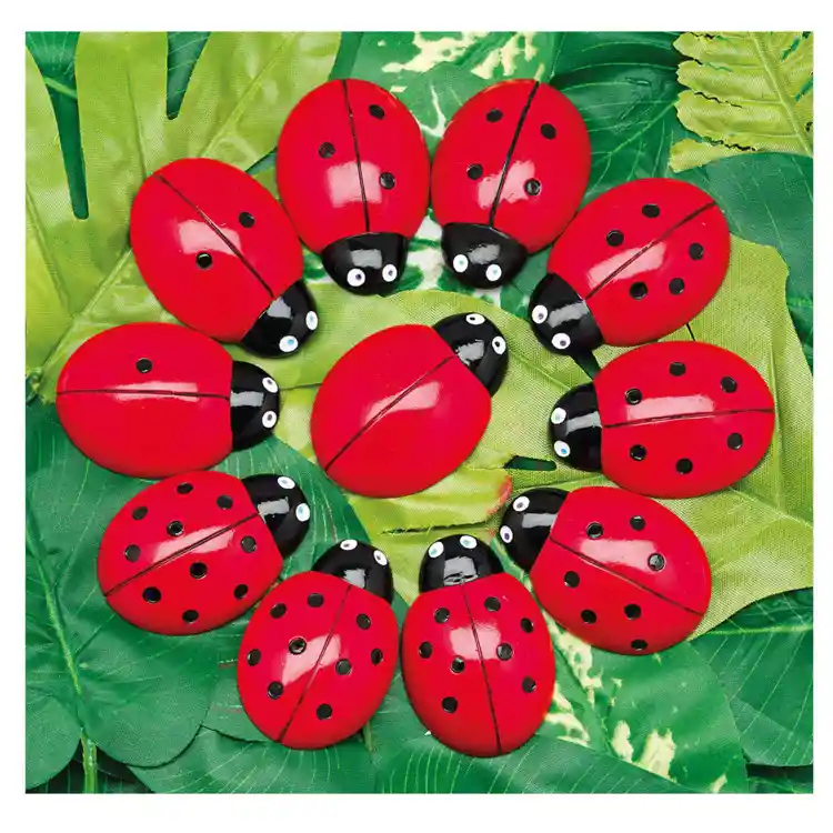 Ladybug Count Stones & Number Cards Set