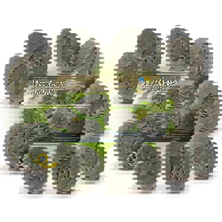 Woodland Footprint Stones