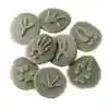 Woodland Footprint Stones