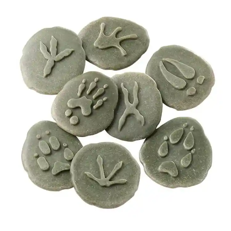 Woodland Footprint Stones