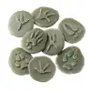 Woodland Footprint Stones