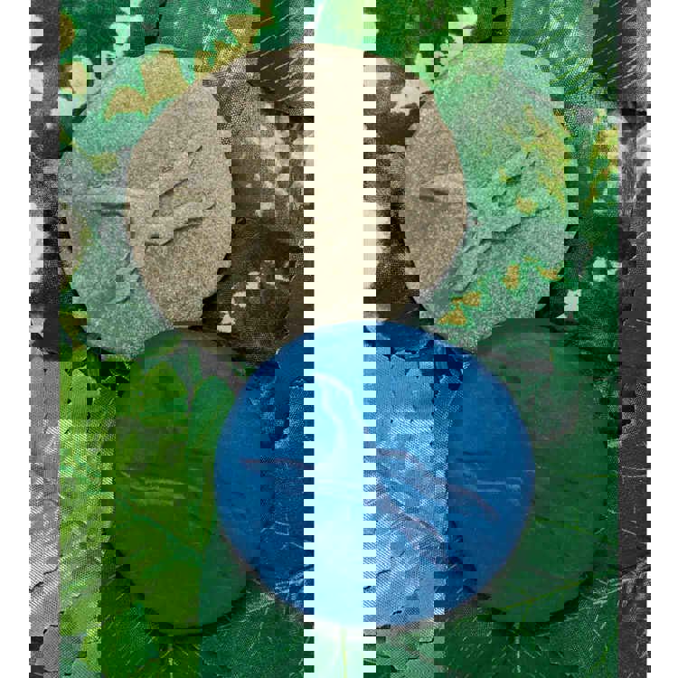 Woodland Footprint Stones