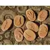 Dinosaur Footprints