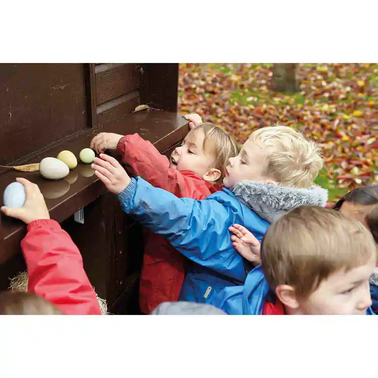 Size-Sorting Eggs