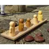 5-Frame Tray