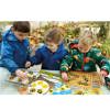 Honeybee Number Set