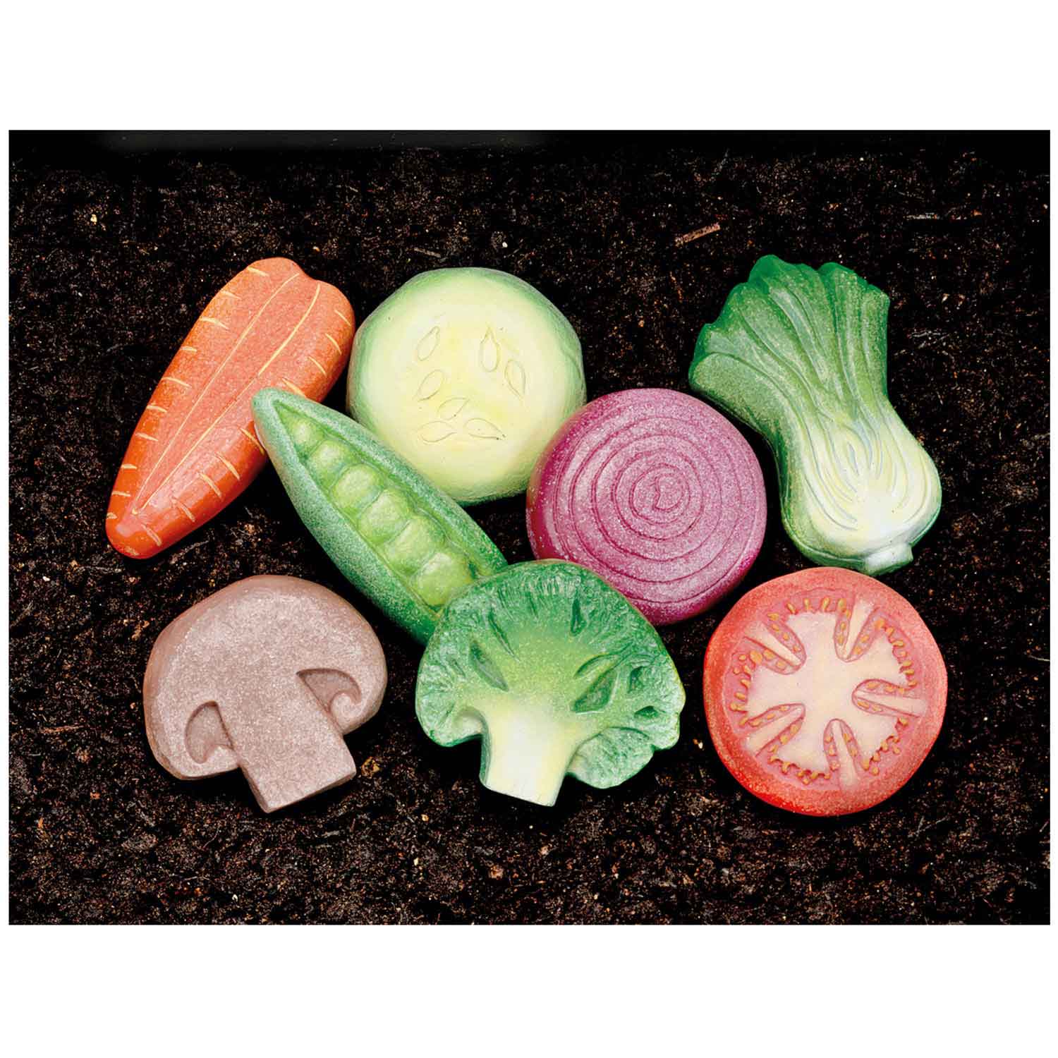Sensory Play Stones, Vegetables