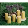 Nature Dough Rollers, Garden Bugs
