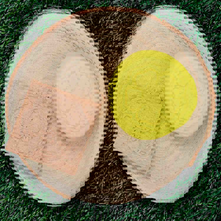 Match Me Sensory Flower Tiles