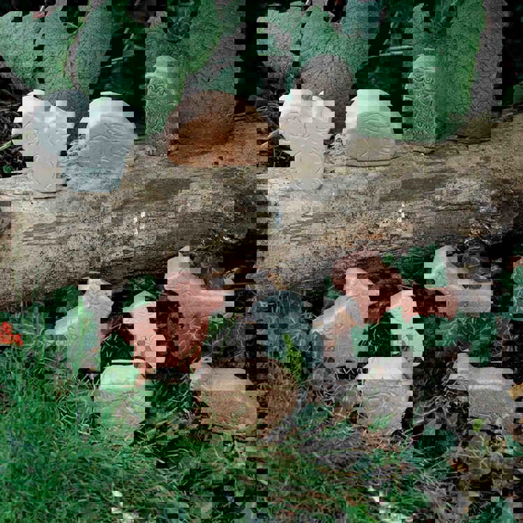 Small World, Woodland Animals