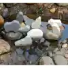 Small World, Polar Animals