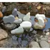 Small World, Polar Animals