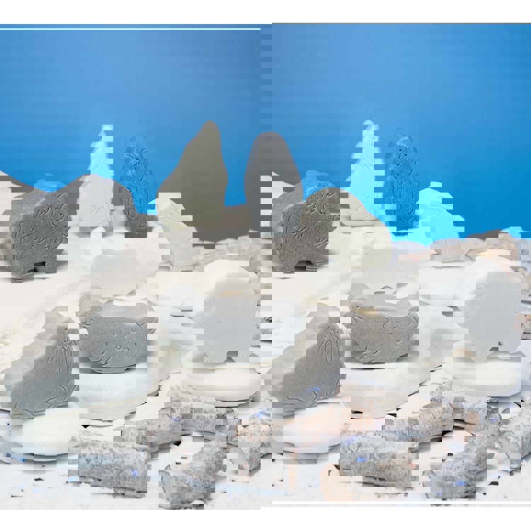 Small World, Polar Animals