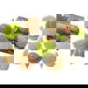 Let's Investigate! Sensory Stones, Nature