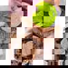 Let's Investigate! Sensory Stones, Nature