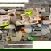 Let's Investigate! Sensory Stones, Nature