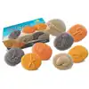 Let's Investigate! Sensory Stones, Seashore