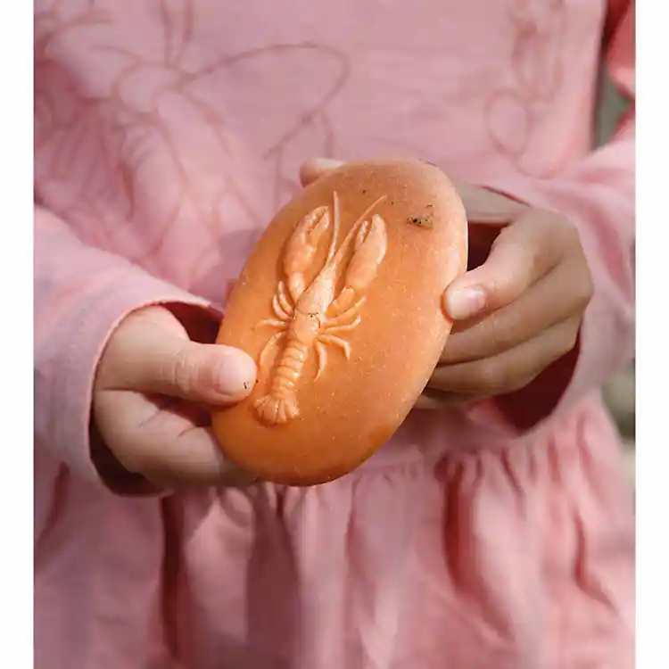 Let's Investigate! Sensory Stones, Seashore