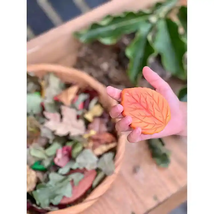 Sensory Play Stones, Leaves