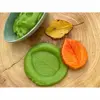 Sensory Play Stones, Leaves
