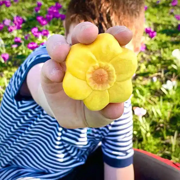 Flowers & Leaves Sensory Play Stones