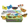 Sensory Play Stones, Butterflies