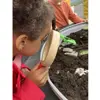 Dig & Discover Dinosaurs
