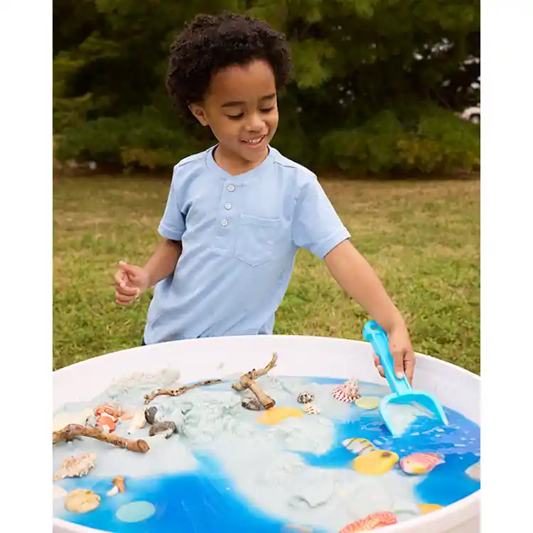 Sensory Play Stones, Fish