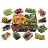 Sensory Play Stones, Bugs