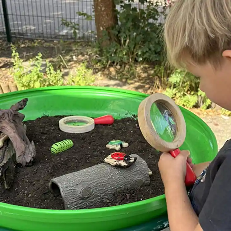 Sensory Play Stones, Bugs