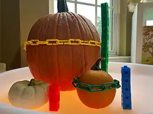pumpkins being measured by links