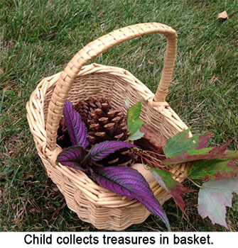 Pinecones, acorns, seed pods and leaves in a basket
