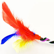 Nature Wand Activity with Feathers