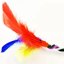 Nature Wand Activity with Feathers